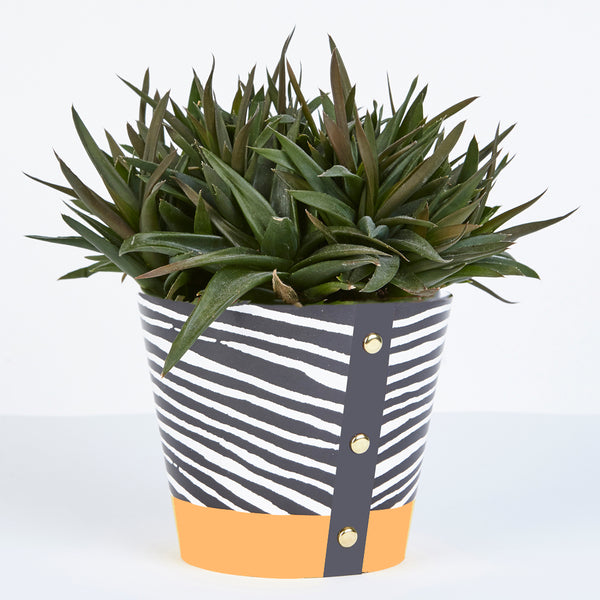 Plant Pot Cover