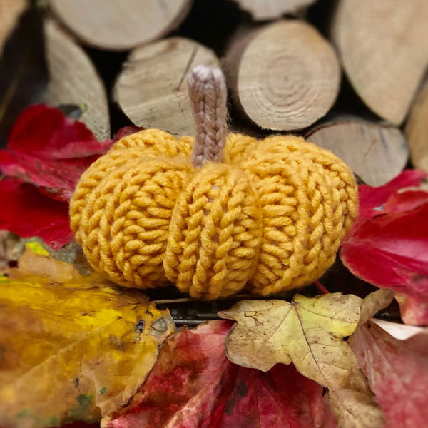 Knitted Pumpkin